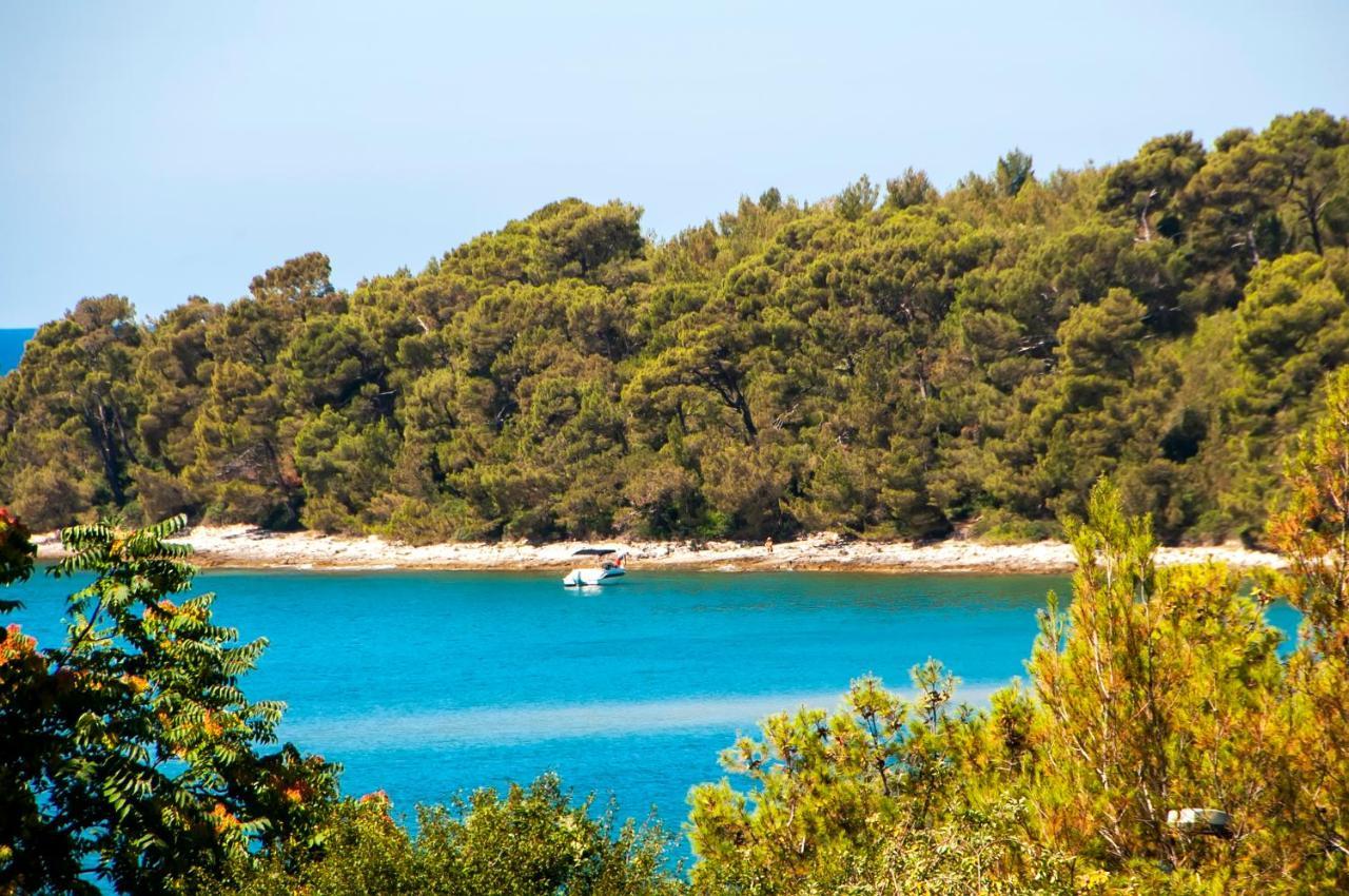 Pineta Mobile Home In Porton Biondi Camp Rovinj Buitenkant foto